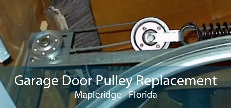 Garage Door Pulley Replacement Mapleridge - Florida