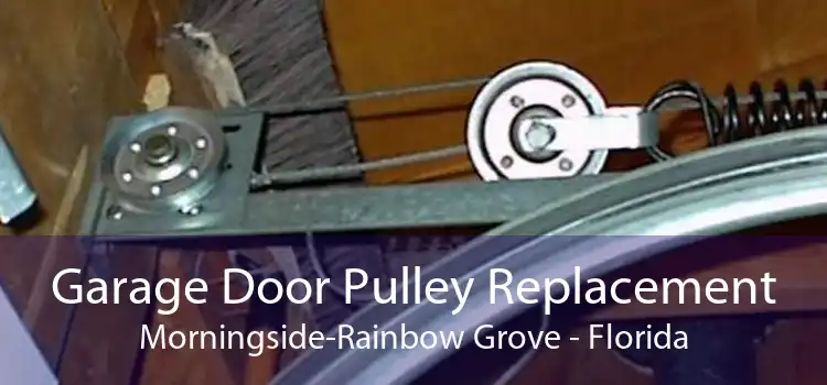 Garage Door Pulley Replacement Morningside-Rainbow Grove - Florida