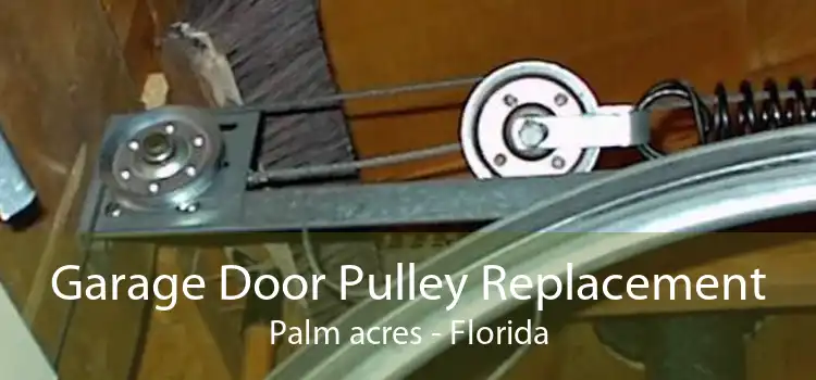 Garage Door Pulley Replacement Palm acres - Florida