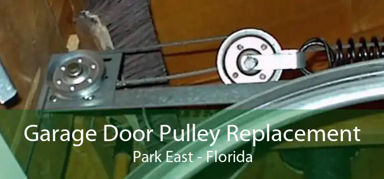 Garage Door Pulley Replacement Park East - Florida