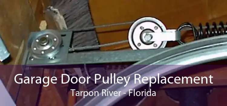 Garage Door Pulley Replacement Tarpon River - Florida