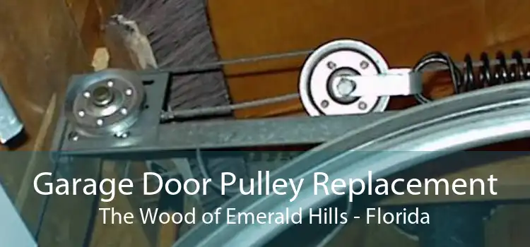 Garage Door Pulley Replacement The Wood of Emerald Hills - Florida