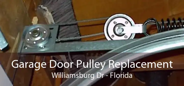 Garage Door Pulley Replacement Williamsburg Dr - Florida