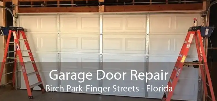 Garage Door Repair Birch Park-Finger Streets - Florida