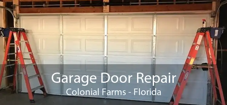 Garage Door Repair Colonial Farms - Florida