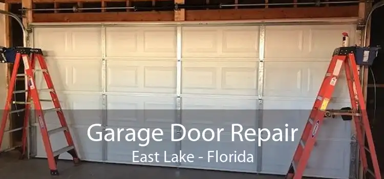 Garage Door Repair East Lake - Florida