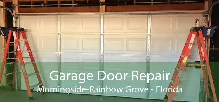 Garage Door Repair Morningside-Rainbow Grove - Florida