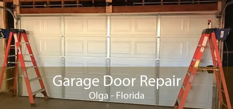 Garage Door Repair Olga - Florida