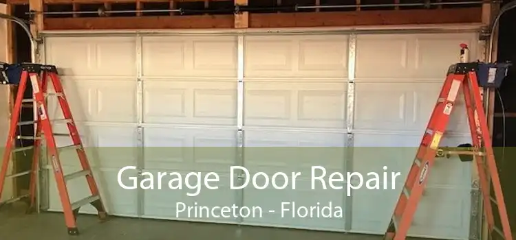 Garage Door Repair Princeton - Florida