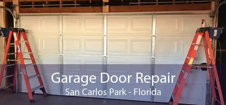 Garage Door Repair San Carlos Park - Florida