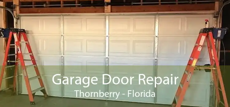 Garage Door Repair Thornberry - Florida