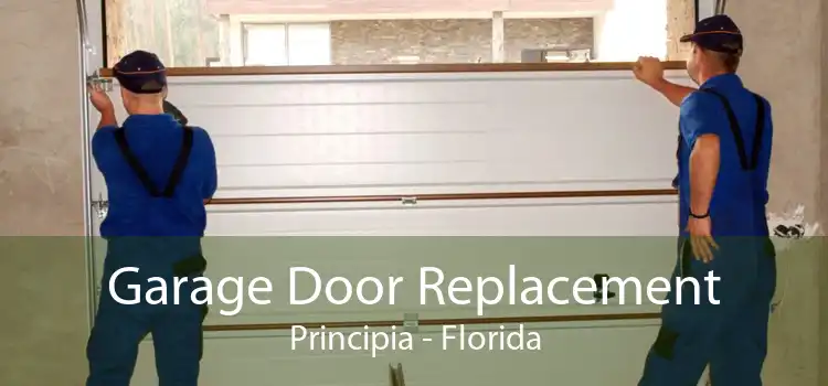 Garage Door Replacement Principia - Florida