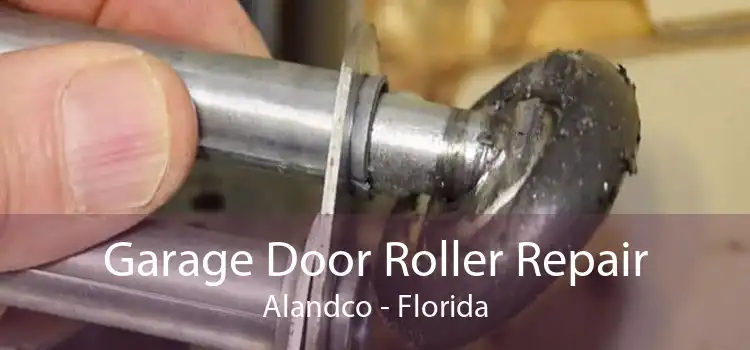 Garage Door Roller Repair Alandco - Florida