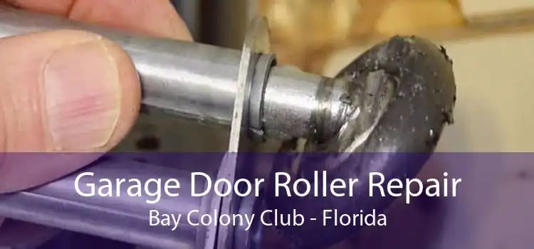 Garage Door Roller Repair Bay Colony Club - Florida