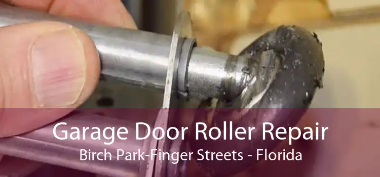 Garage Door Roller Repair Birch Park-Finger Streets - Florida