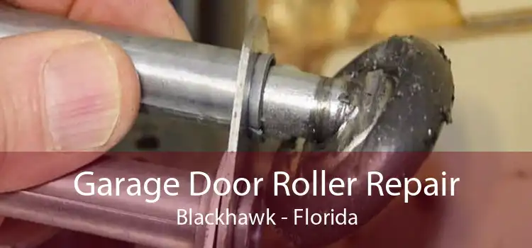 Garage Door Roller Repair Blackhawk - Florida