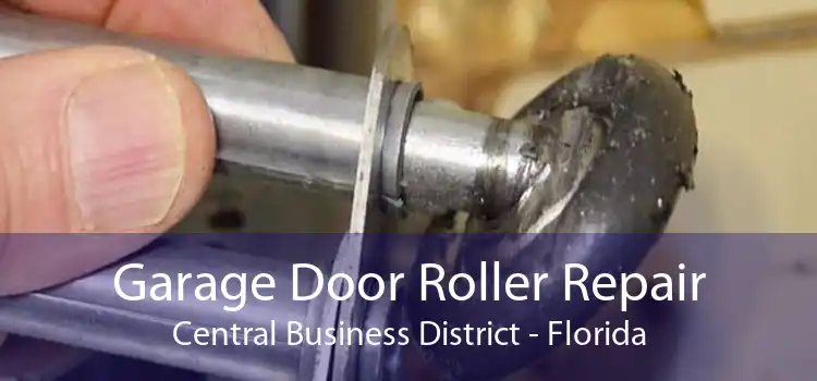 Garage Door Roller Repair Central Business District - Florida