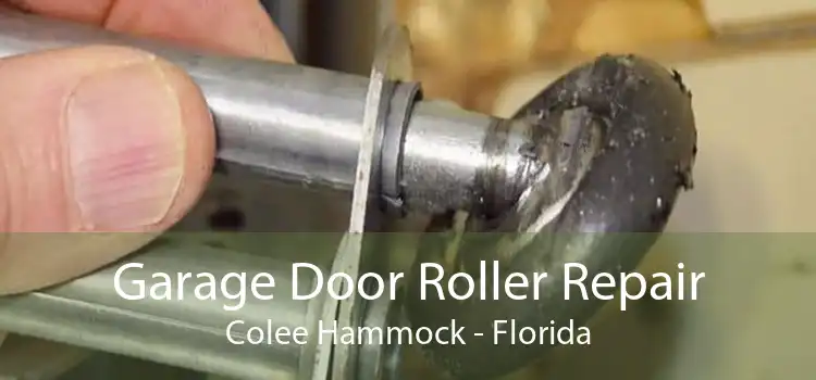 Garage Door Roller Repair Colee Hammock - Florida