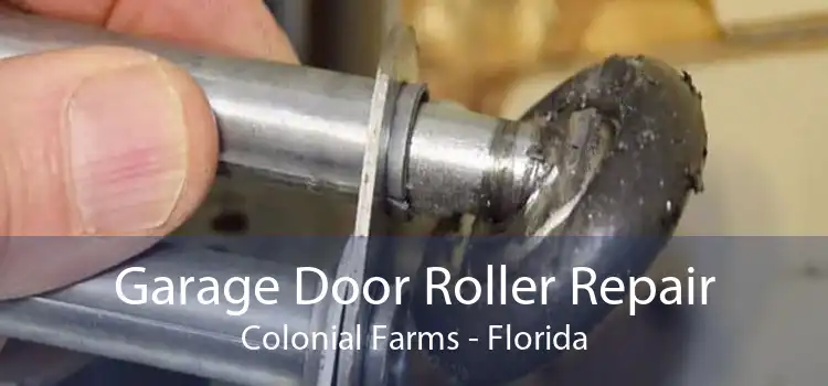 Garage Door Roller Repair Colonial Farms - Florida