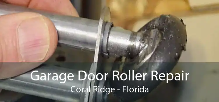 Garage Door Roller Repair Coral Ridge - Florida