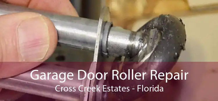 Garage Door Roller Repair Cross Creek Estates - Florida