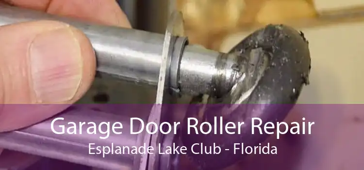 Garage Door Roller Repair Esplanade Lake Club - Florida