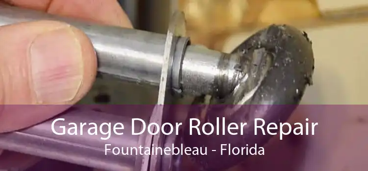 Garage Door Roller Repair Fountainebleau - Florida