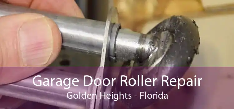 Garage Door Roller Repair Golden Heights - Florida