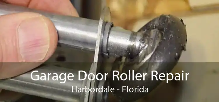 Garage Door Roller Repair Harbordale - Florida