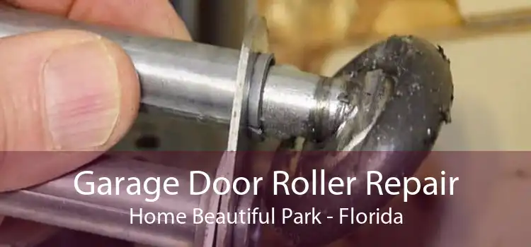 Garage Door Roller Repair Home Beautiful Park - Florida