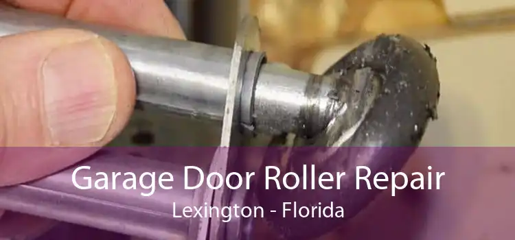 Garage Door Roller Repair Lexington - Florida