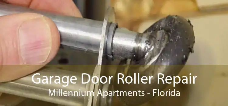 Garage Door Roller Repair Millennium Apartments - Florida