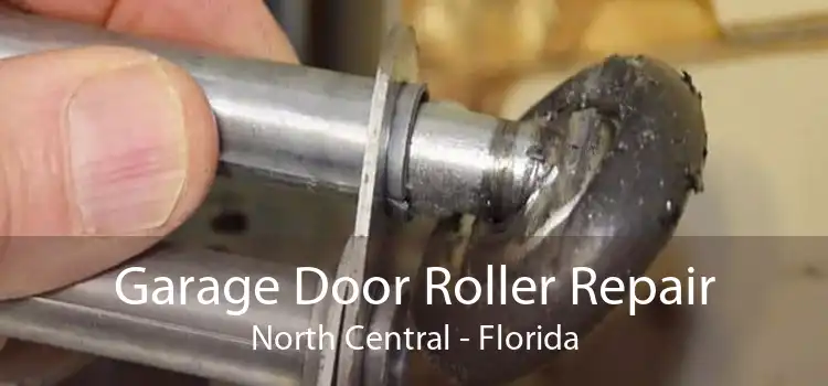 Garage Door Roller Repair North Central - Florida