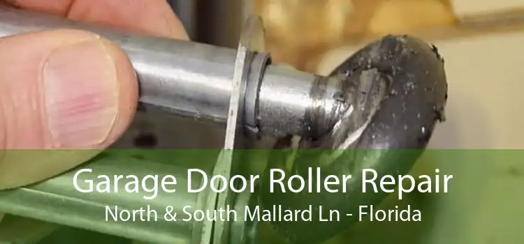 Garage Door Roller Repair North & South Mallard Ln - Florida