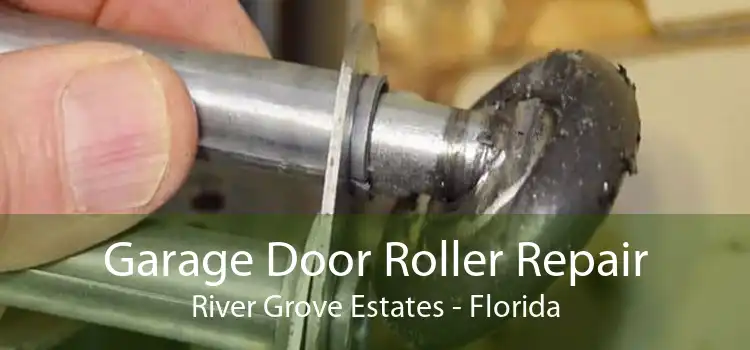 Garage Door Roller Repair River Grove Estates - Florida