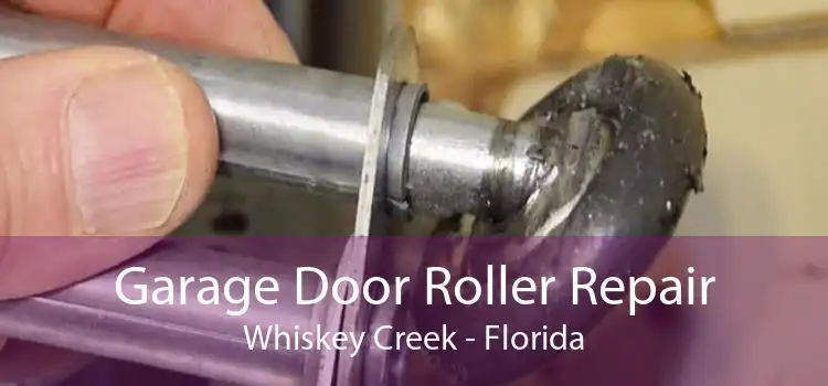 Garage Door Roller Repair Whiskey Creek - Florida