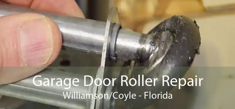 Garage Door Roller Repair Williamson/Coyle - Florida