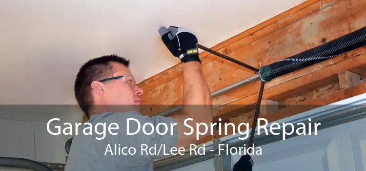 Garage Door Spring Repair Alico Rd/Lee Rd - Florida