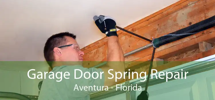 Garage Door Spring Repair Aventura - Florida