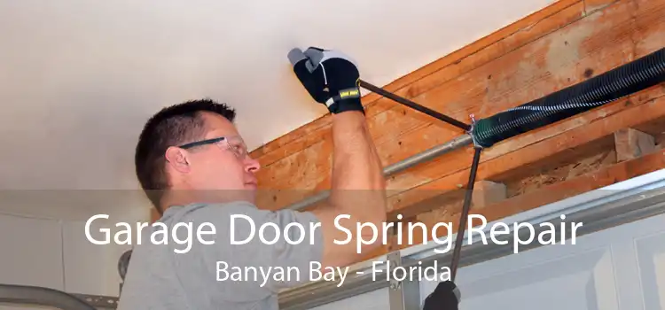 Garage Door Spring Repair Banyan Bay - Florida