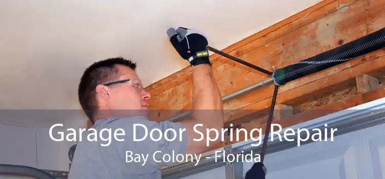 Garage Door Spring Repair Bay Colony - Florida