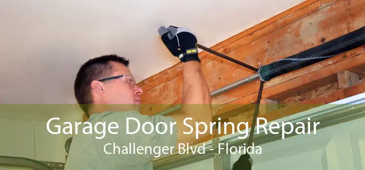 Garage Door Spring Repair Challenger Blvd - Florida