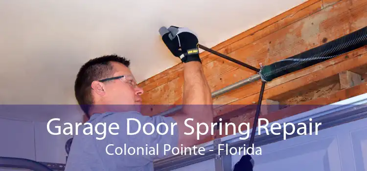 Garage Door Spring Repair Colonial Pointe - Florida