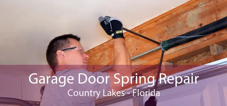 Garage Door Spring Repair Country Lakes - Florida