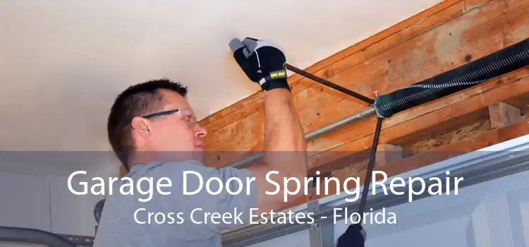 Garage Door Spring Repair Cross Creek Estates - Florida