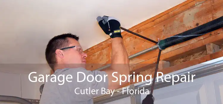 Garage Door Spring Repair Cutler Bay - Florida