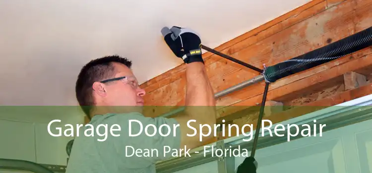 Garage Door Spring Repair Dean Park - Florida