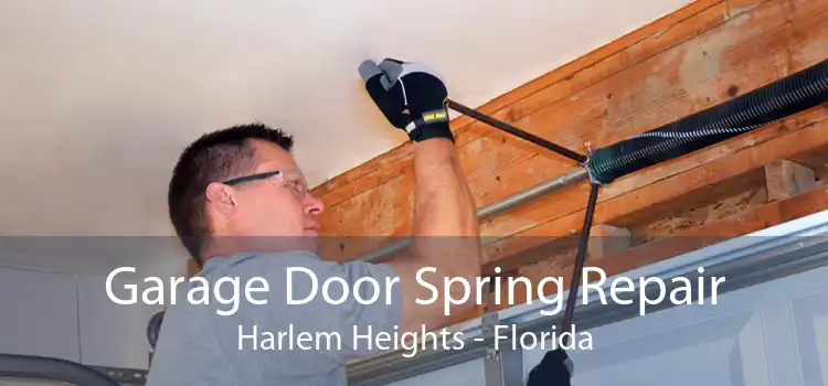 Garage Door Spring Repair Harlem Heights - Florida