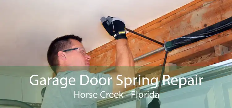 Garage Door Spring Repair Horse Creek - Florida