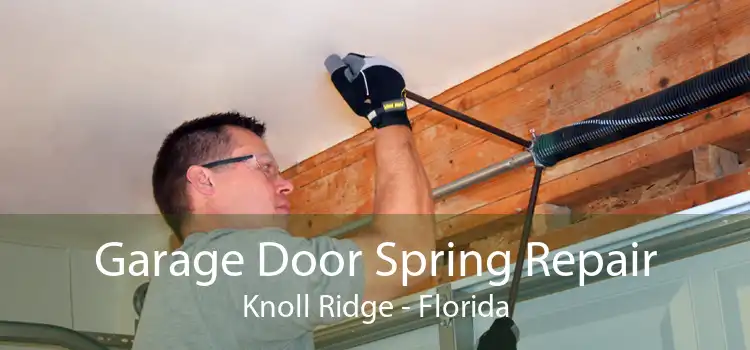 Garage Door Spring Repair Knoll Ridge - Florida